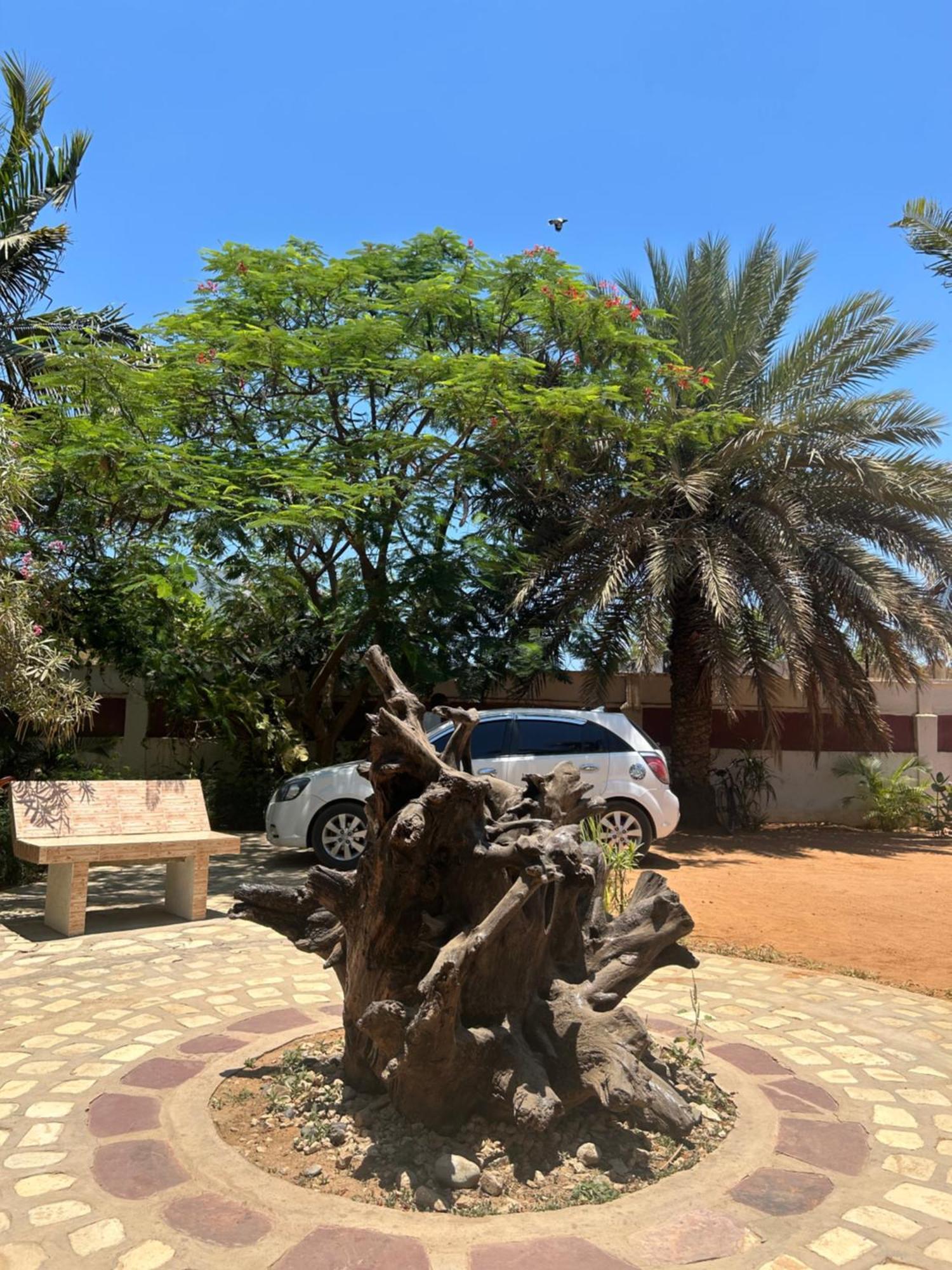 مبيت وإفطار توليارا Bohobe Naboty المظهر الخارجي الصورة